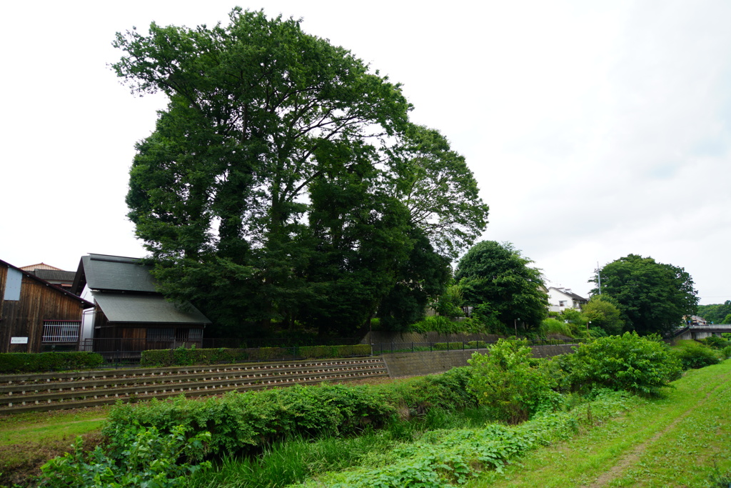歴史を見つめて