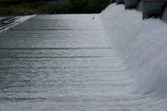 水の壁