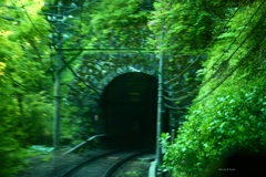 トンネルを抜けて新緑へ