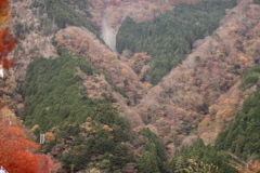 バカでかいハート　静岡梅ヶ島