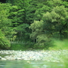 吊り橋　遠景