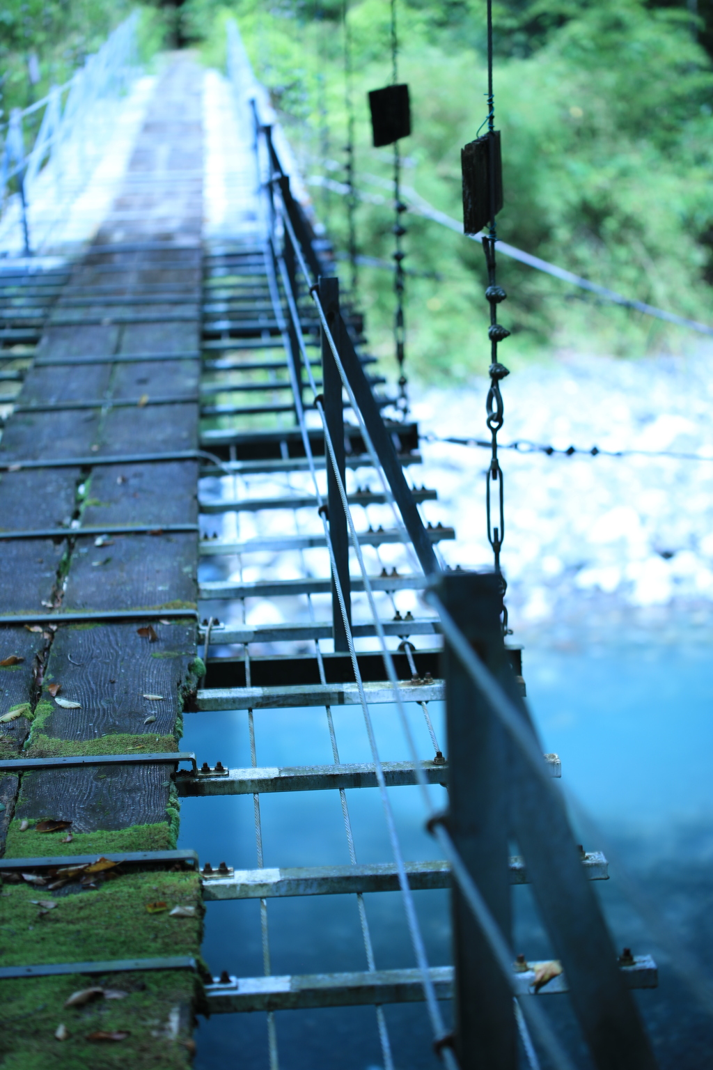 渡りますか？　吊り橋