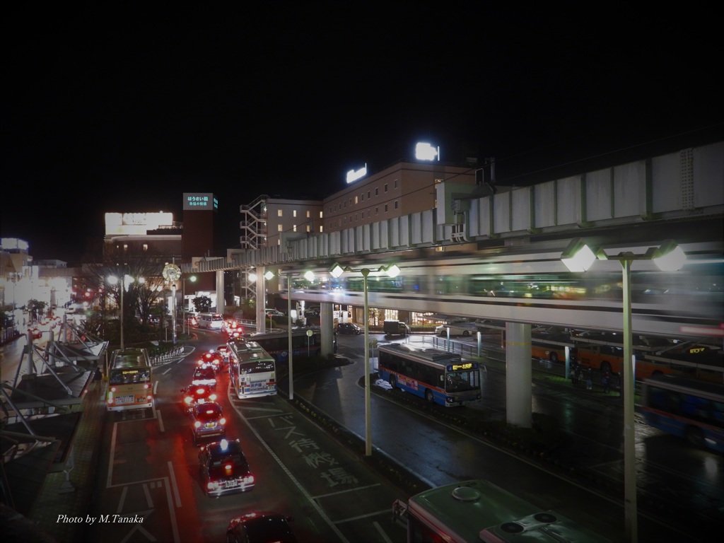 夜景湘南モノレール