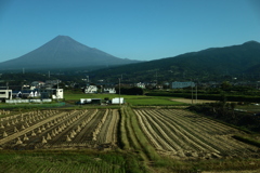 稲刈り後の富士山　車窓から　