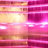 噴水も映っているよ何で？