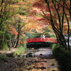 紅葉リフレクション遠州路　うらがわ