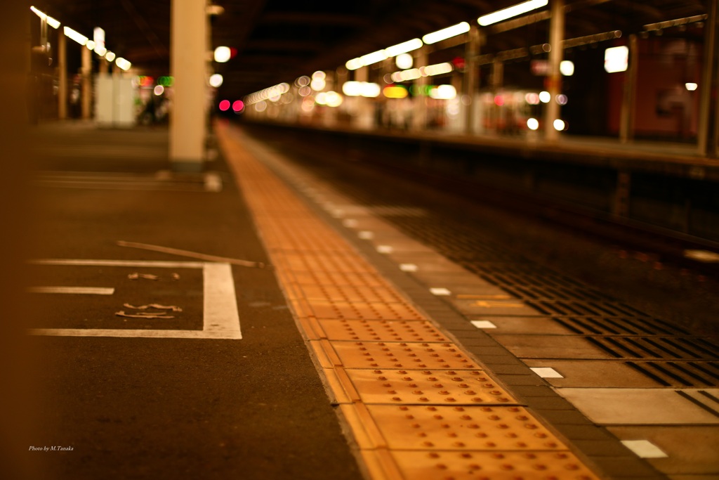 旅の夜に酔う