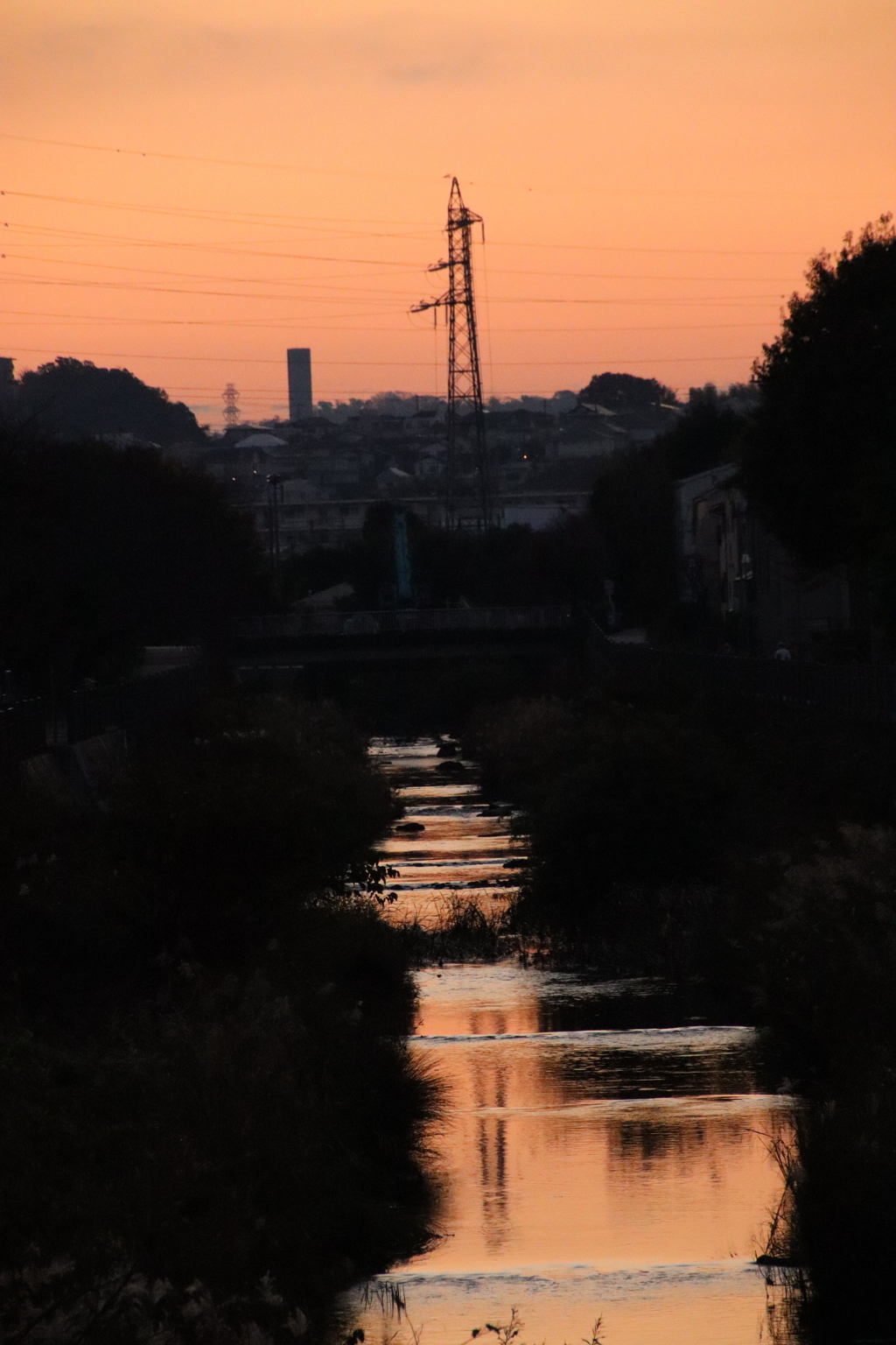 名も知らぬ川と橋