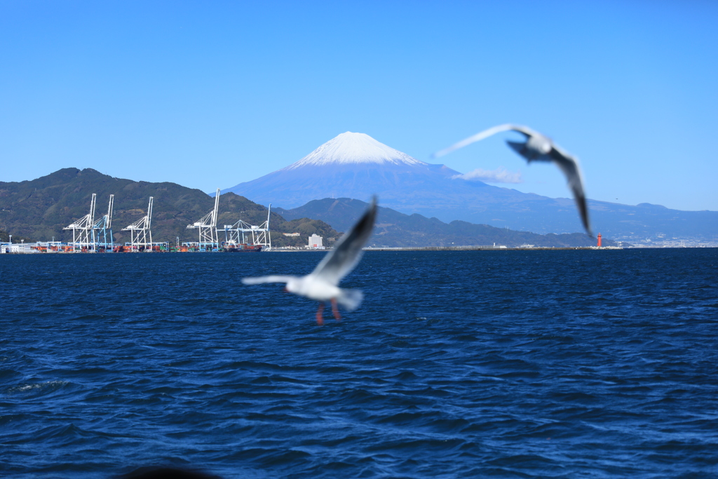 かもめと富士山　清水みなと