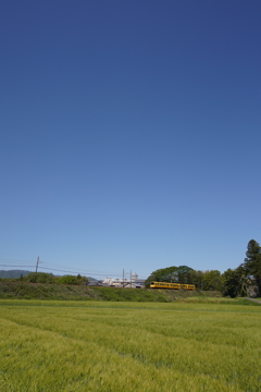 五月晴れの午後