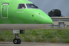 ライトグリーン