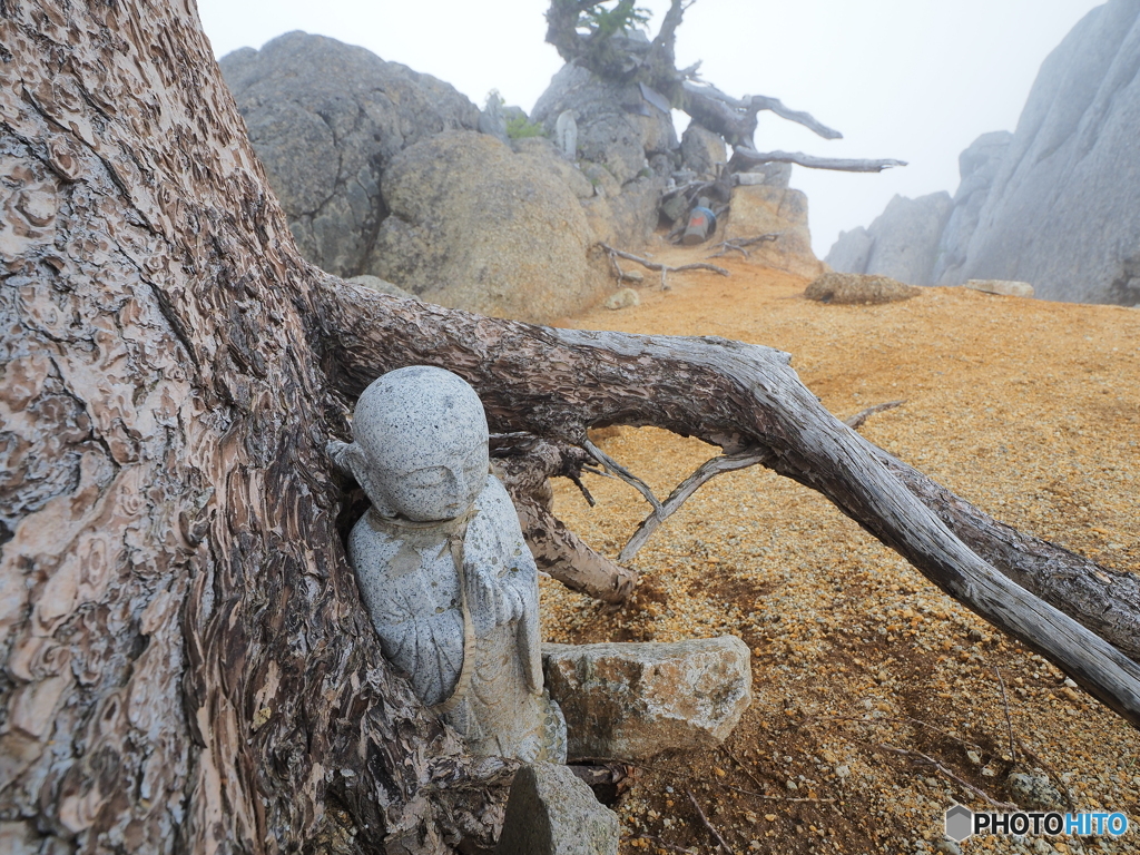 鳳凰山道中