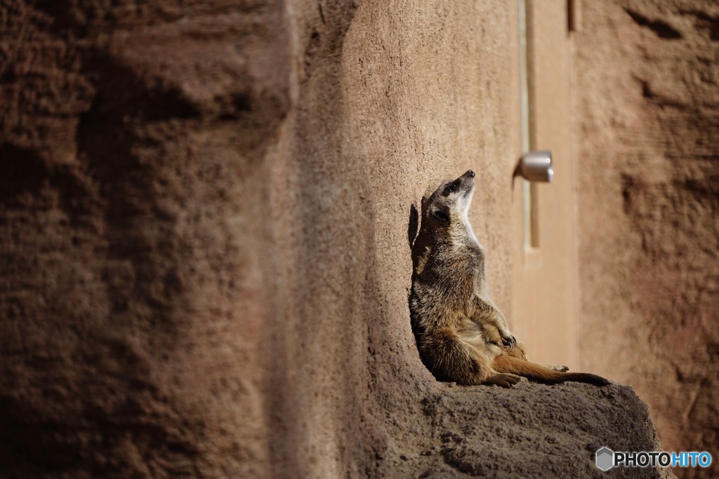 千葉市動物公園7