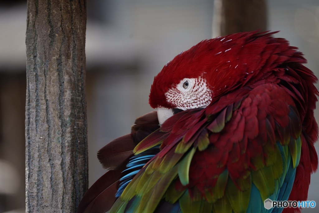 千葉市動物公園3