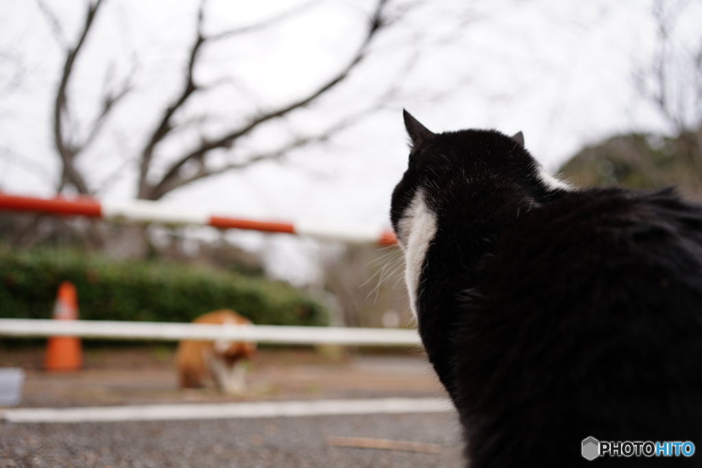 二人の間を隔てるもの