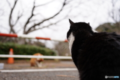 二人の間を隔てるもの
