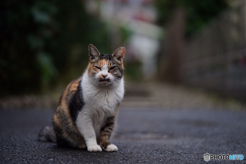 貫禄