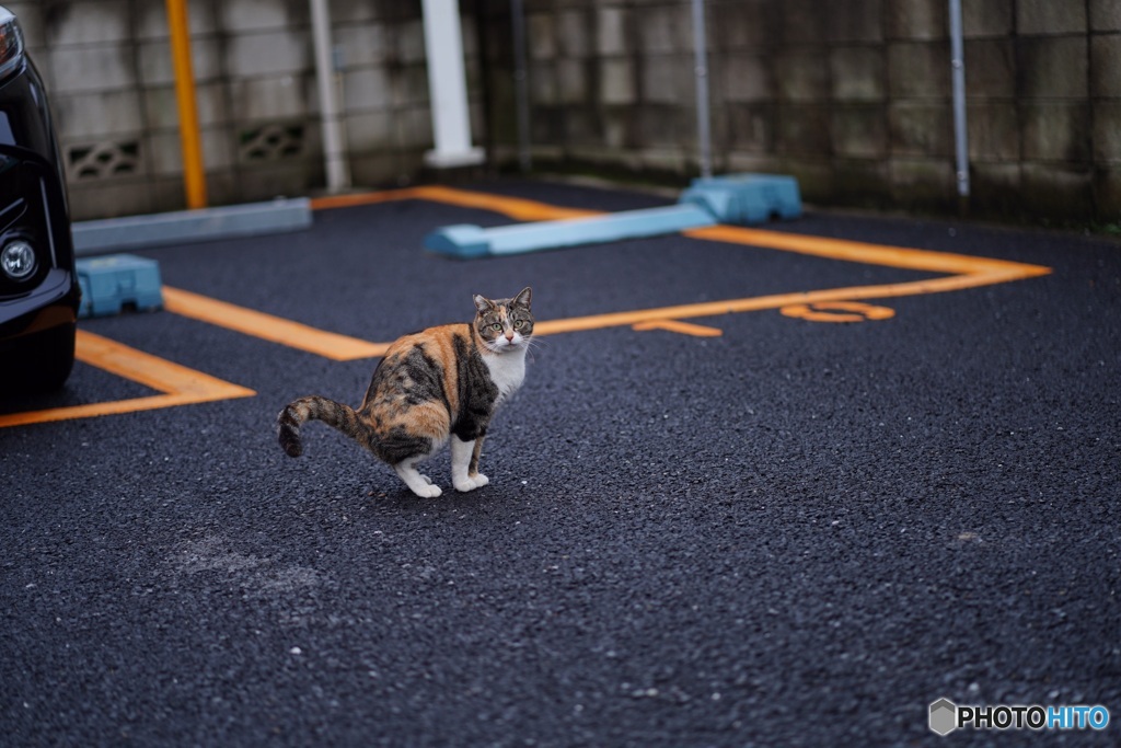 ん⁈