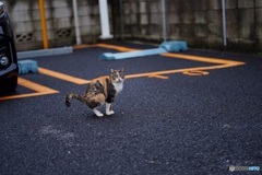 ん⁈