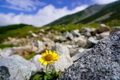 立山にて②