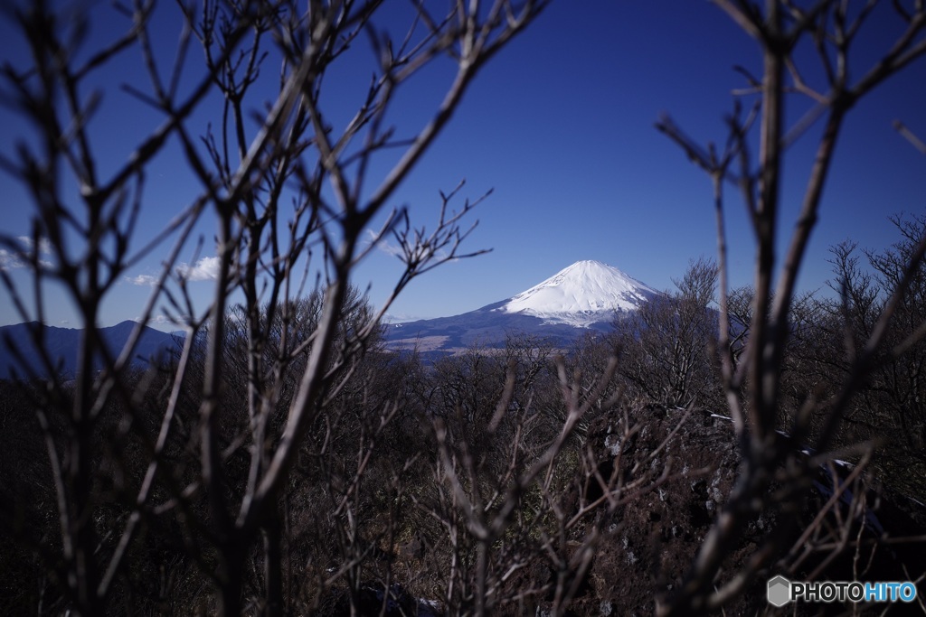 富士山