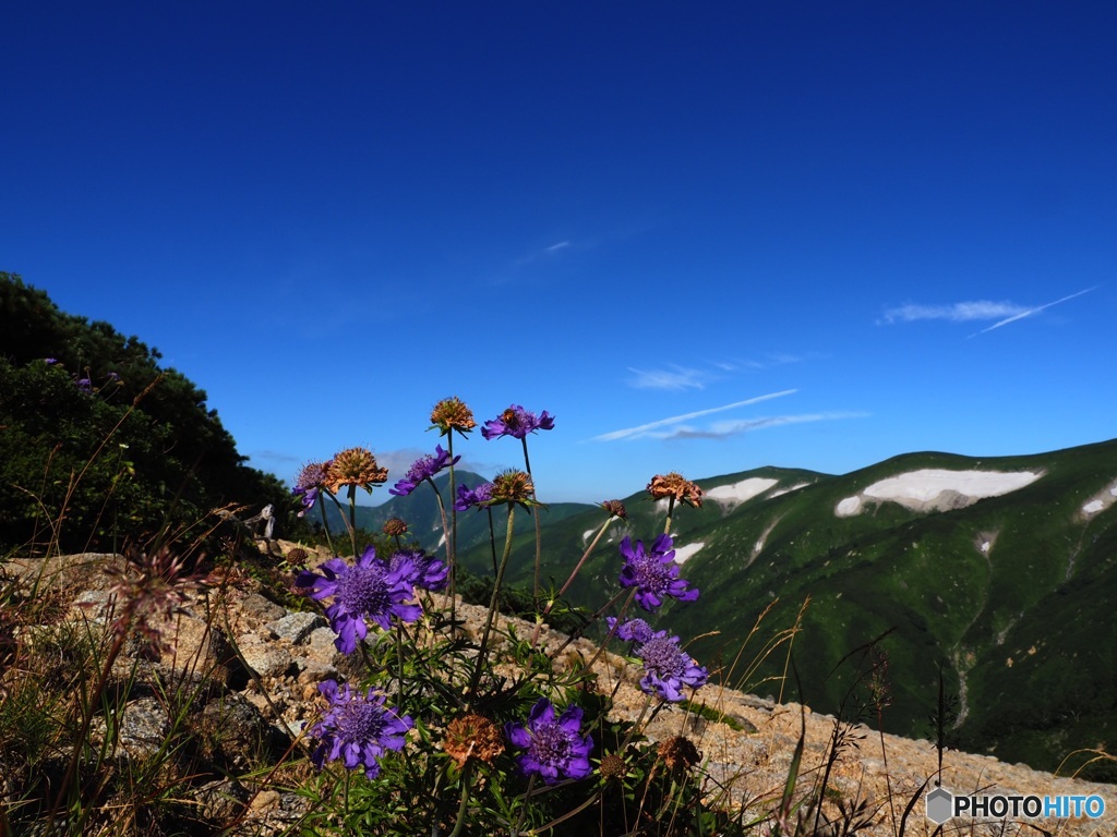 飯豊山道中