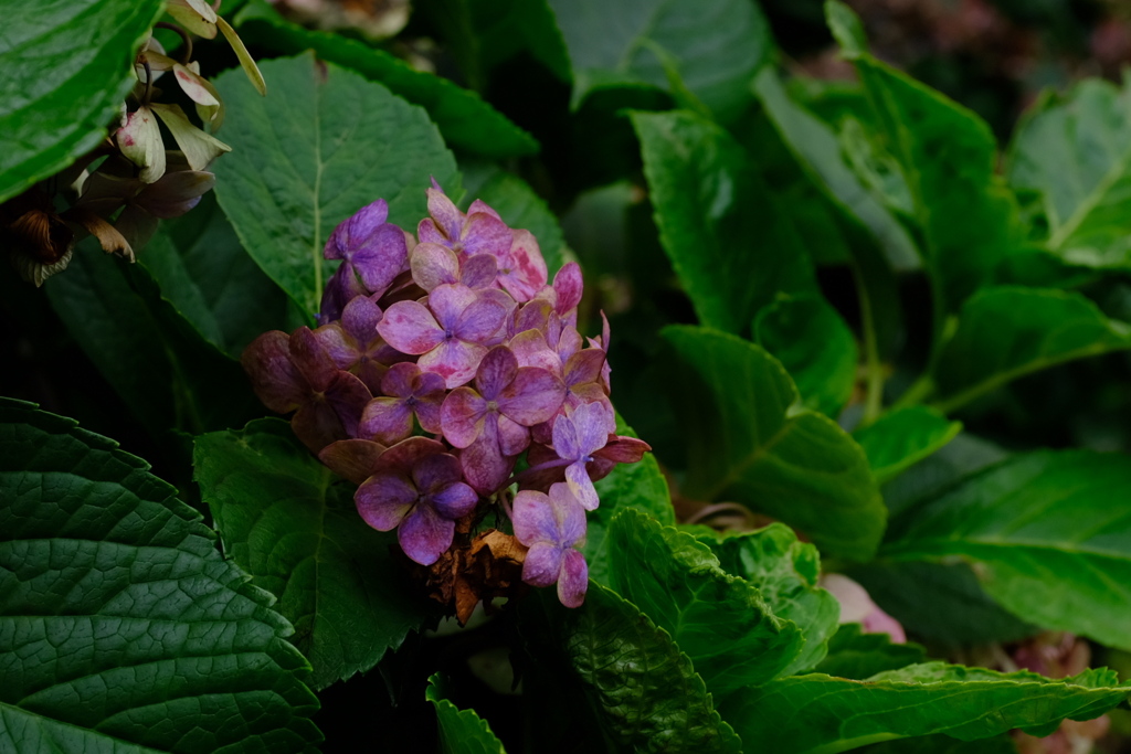 002 [ 梅雨の終焉 ]