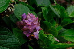 002 [ 梅雨の終焉 ]