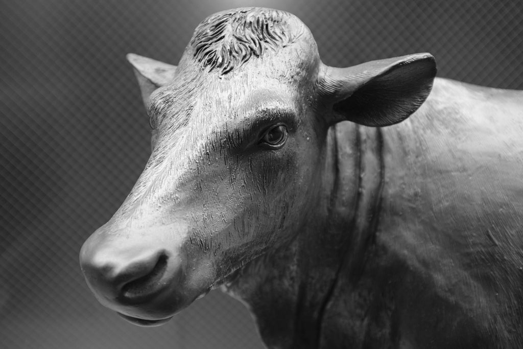 001 [ イケメン ]