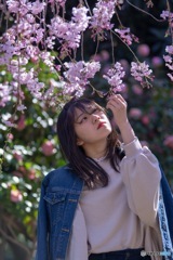 ポートレート 桜