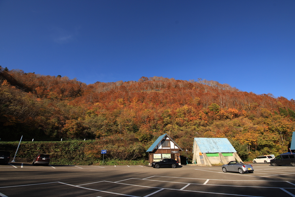 白山ホワイトロード