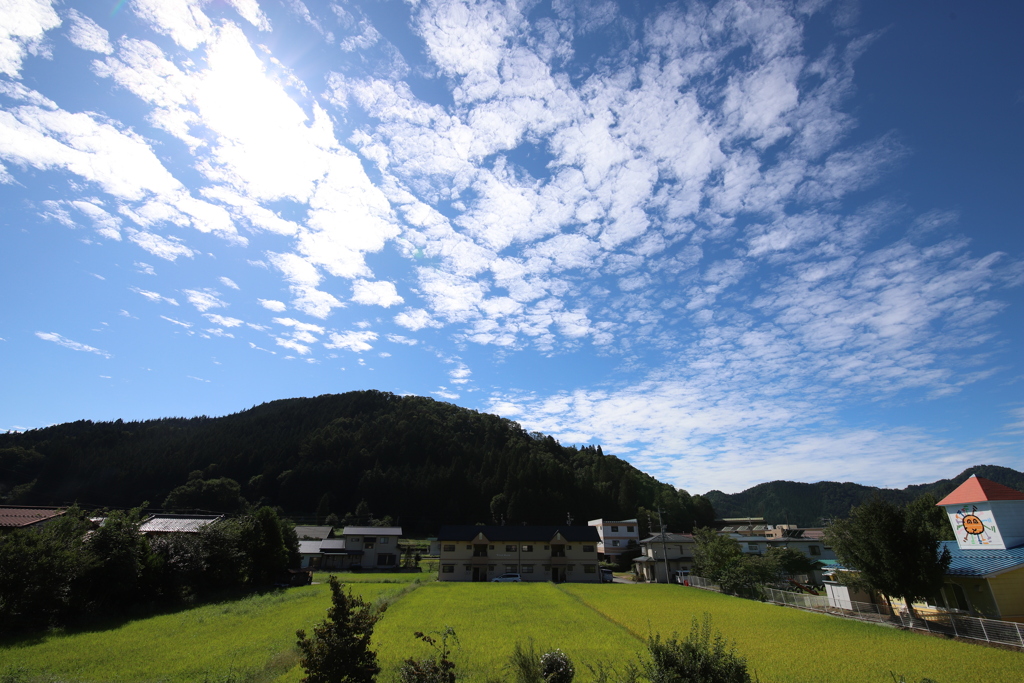 なんてことない風景