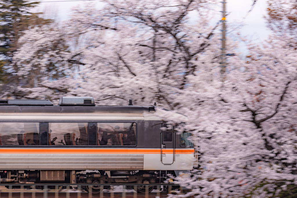 春旅へ
