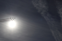 20181118115156_IMG_1313_1