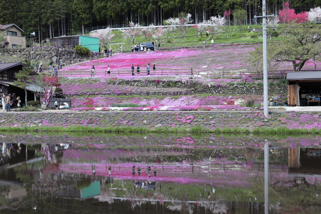 20190504135437_IMG_2200