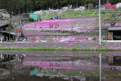 20190504135437_IMG_2200