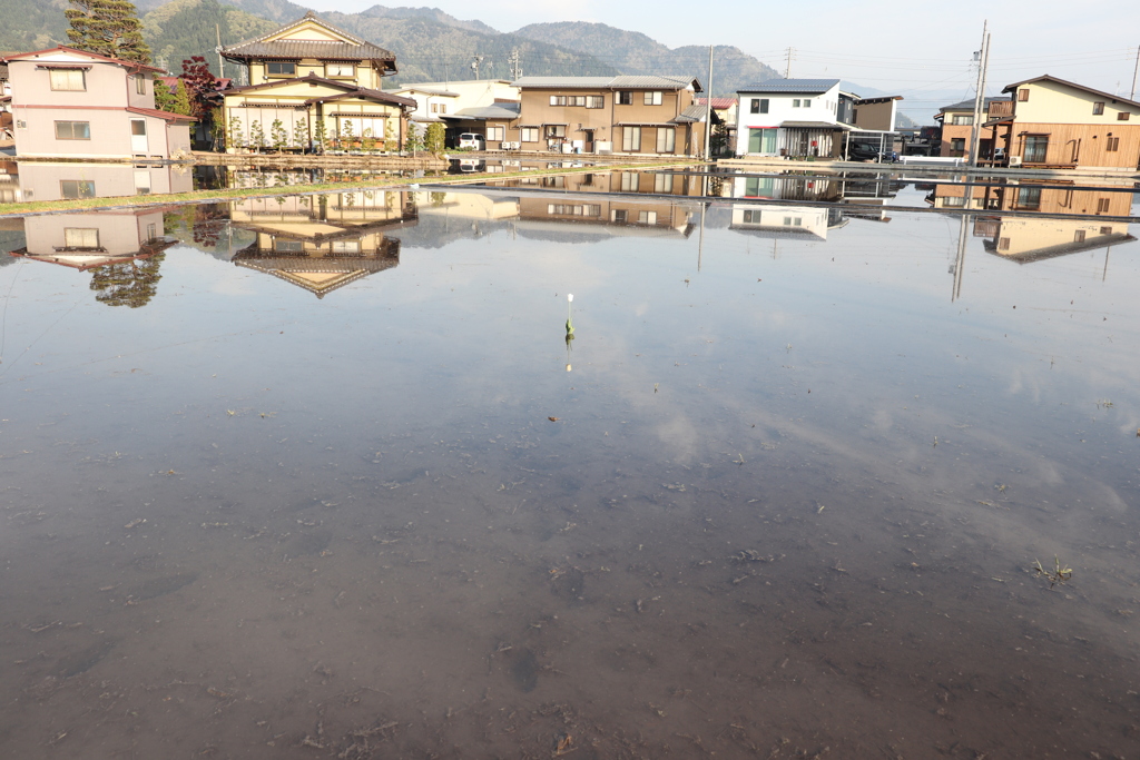 20190511060539_IMG_2248