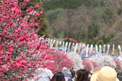 20190428133624_IMG_2080