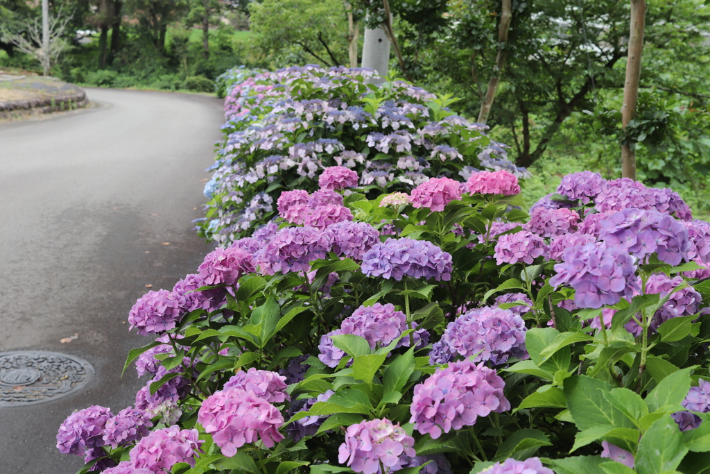 20190629153501_IMG_2656