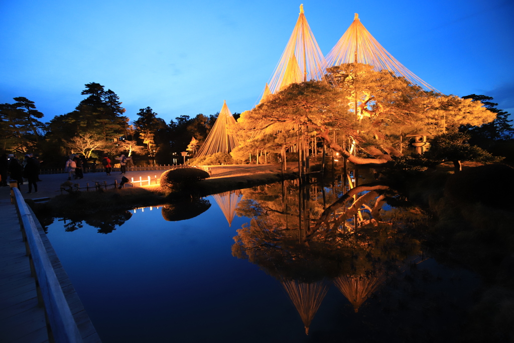 兼六園　ライトアップ