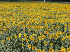 20190810093541_IMG_3415