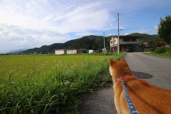 20190825161247_IMG_3930