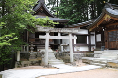 20190818063624_IMG_3709