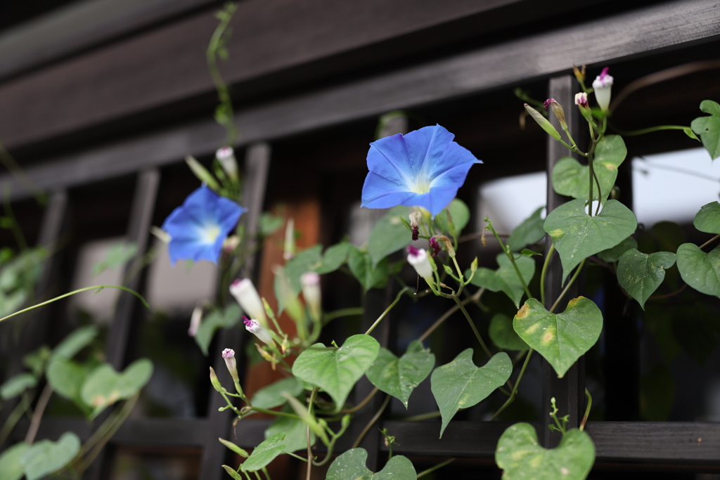 20190818060426_IMG_3670