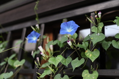 20190818060426_IMG_3670