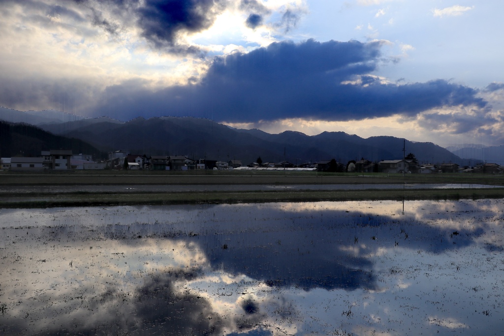 雨上がり