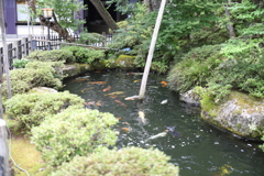 20190818063818_IMG_3716