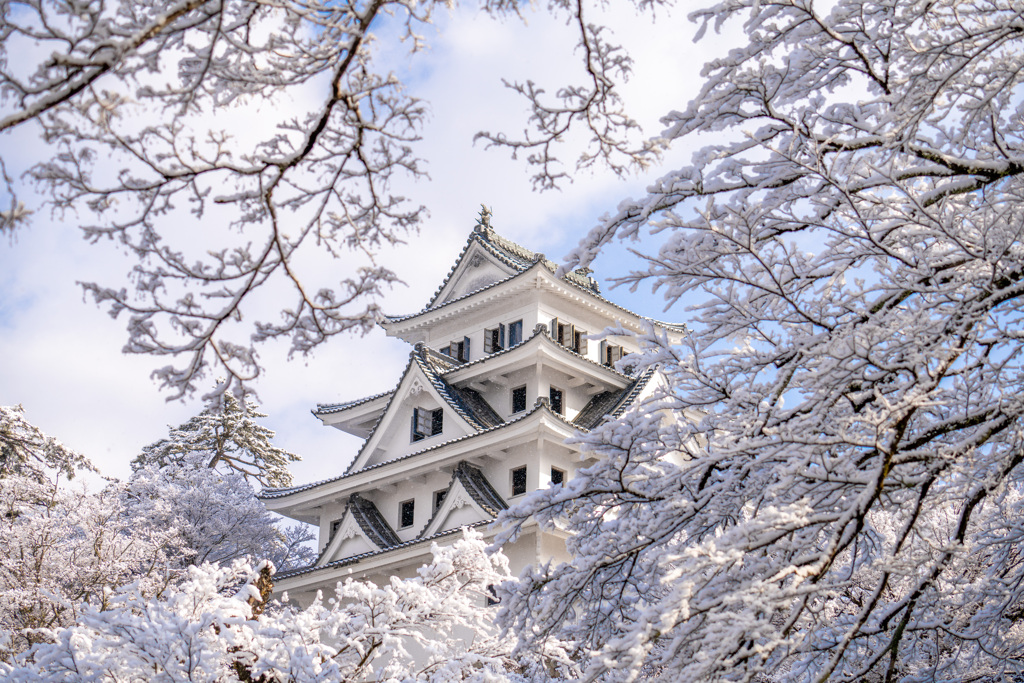 郡上八幡城　雪囲い