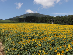 20190810093550_IMG_3416