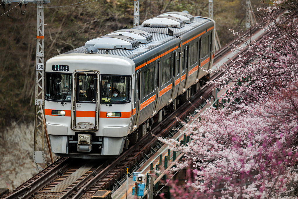 桜陸橋